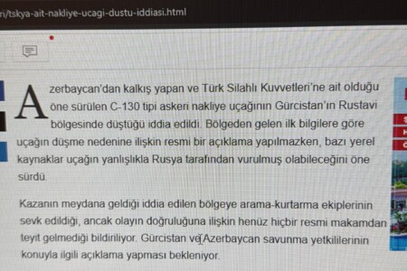 Denize nazır